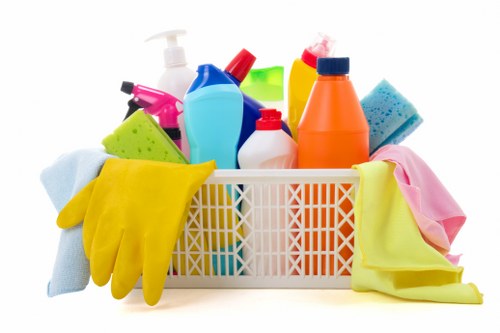 Reviewing a carpet cleaner complaint with service notes