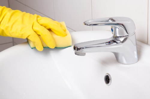 Professional pet odour removal for upholstery in East Bedfont
