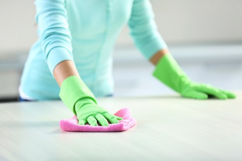 Fresh and clean home after pet stain odour removal
