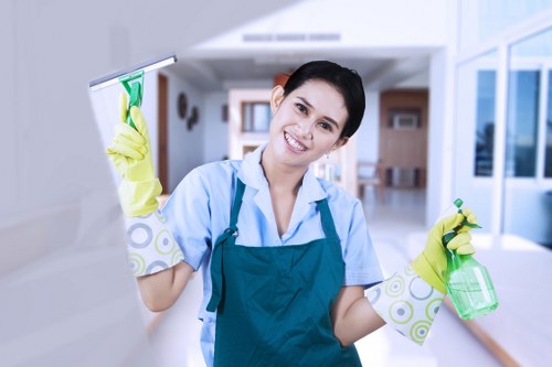 Professional stain treatment for fabrics and carpets